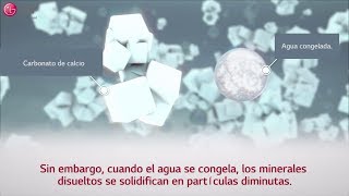 Soporte LG España - Partículas blancas en el agua o cubitos de hielo en Frigorífico LG