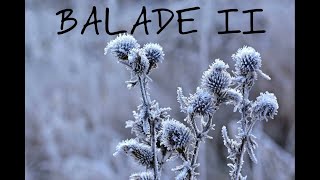 ĐORĐE BALAŠEVIĆ - BALADE II (AUDIO 2023) HD