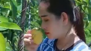 BIDADARI CANTIK PETIK BUAH | BEAUTIFUL ANGEL PICKING FRUITS #shorts #youtubeshorts