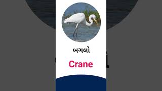 Crane meaning in Gujarati - English dictionary