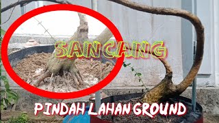 pindah lahan ground sancang