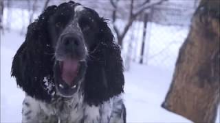 Трюкачим во дворе | Опять выпал снег...