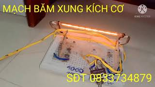 test trả mạch băm xung kích cơ cho anh QUANG ở đak lak sđt 0833734879