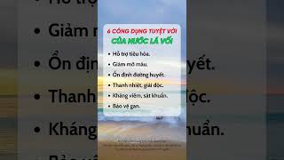 6 Công Dụng Tuyệt Vời Của Nước Lá Vối #duocsihuongtra #suckhoe #shorts