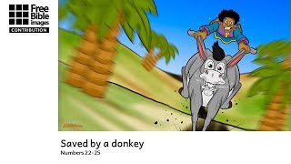 Saved by a donkey