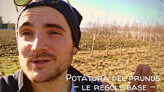 POTATURA DI UN PRUGNO IN TIME-LAPSE - LE REGOLE BASE -