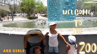 We visit A CHINESE Zoo!