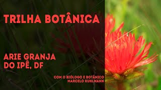 Trilha Botânica – ARIE Granja do Ipê, DF