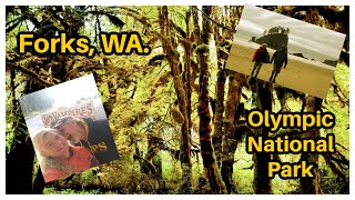 Visiting Forks, Washington and Olympic National Park!