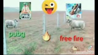 FREE FIRE vs PUBG