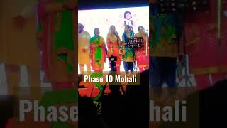 Phase 10 Mohali | Park Video