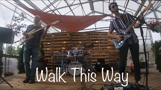 Walk This Way | Seth Austin Band LIVE