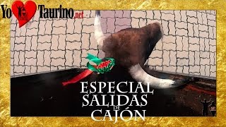 Salidas de TOROS BRAVOS del Cajón