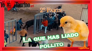 🙈 🙉 🙊 Se lía gorda 🤦‍♂️🙅‍♂️🤦en Pollos  🐥🐣🐥 (Valladolid) con un toro 🐂 que rompe la talanquera 😱😰😨