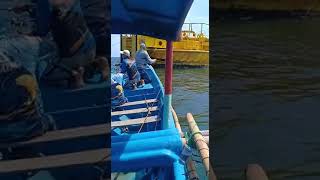 Jigging SBM Cilacap Ryobi Zeus vs Ebek kue rambe bersama Bala Dogong rawajaya