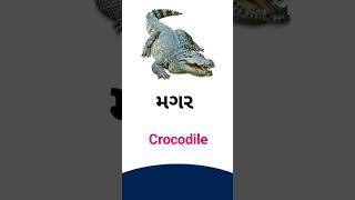 Crocodile meaning in Gujarati - English dictionary