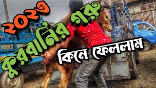 হযরতপুর হাট থেকে কুরবানির গরু কিনলাম || ছোট সাইজের ষাড় গরুর দাম জানুন || Purbasha Agro