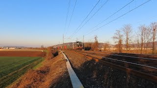 Cavalleria tedesca fuori percorso