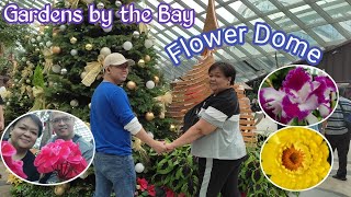 Flower Dome- Chubby travels visits the World's largest greenhouse