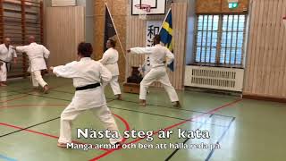 SB Testar   Karate