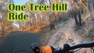 One Tree Hill Ride