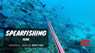 Tips and Tricks REEF FISH hunting | BSV: South African spearfishing VLOG ep5