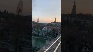 Twilight bear in Bern🐻夕日を見てたそがれくまちゃん。