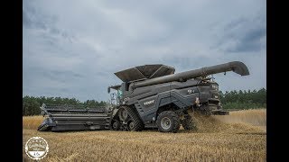 Dreschen // Fendt Ideal 9T