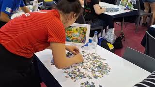 World Jigsaw Puzzle Championship 2024. Individual final. Valladolid. Spain