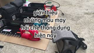 Giới thiệu các mẫu máy hái chè đang thông dụng hiện nay #dienmaythuanlinh  #mayhaiche #mayhaichemini