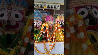 Jai jagannath short status video jai jagannath mahaprabhu 🙏