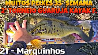 Tucunaré Amarelo monstro 55up, 35° Semana do 2° Torneio Guarujá Kayak Fishing, XAVIER MÓVEIS