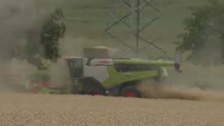 Großeinsatz Getreideernte 1500ha mit 2 Claas Lexion 8800 mit jeweils 12,30 m Convio Schneidwerk 2023