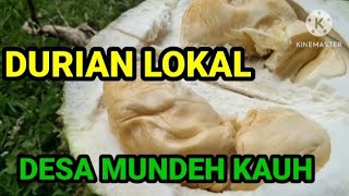 DURIAN LOKAL BALI || DESA MUNDEH KAUH ‼️