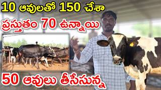 తెలుగు రాష్ట్రాలకు పర్ఫెక్ట్ Hitha dairy farm @MalleshAdla