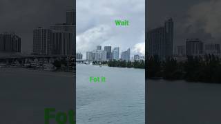 Miami 4k vedio from world biggest cruise ship#carnivalhorizon#biggestcruiseship#shorts#youtubeshorts