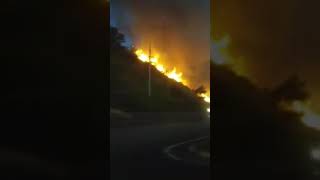 Incendio extremo en Mayagüez, Puerto Rico