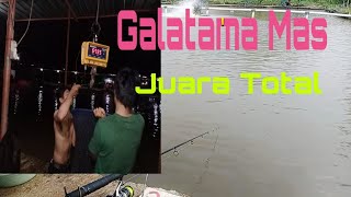 Galatama Mas Juara Total