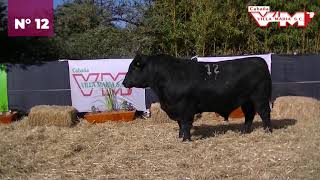 Villa Maria  Toros PC Negros Corral 28  N 12