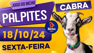 PALPITE DO DIA 18/10/2024 - JOGO DO BICHO 🍀 TODAS AS LOTERIAS 🍀