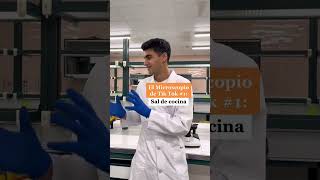 EL MICROSCOPIO DE TIK TOK: SAL DE COCINA | YOEL LAB