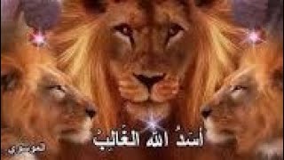 أسد الله الغالب رحم الله من نادا يا علي