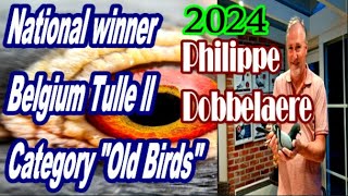 Philippe Dobbelaere (Olsene, BE) National winner Belgium from Tulle II 2024 "Old birds"