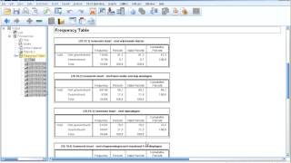 SPSS output exporteren naar Excel