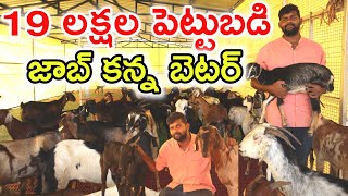 19 లక్షల పెట్టుబడి Mary's goat farming @MalleshAdla