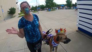 KY Primary 2020 - Steph interviews Booker Boosters, Mabel, the Great Dane and her human, Rebecca.