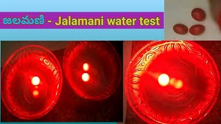 Jalamani (జలమణి) Water Lighting stone and Milk testing