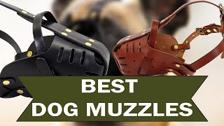 Best Dog Muzzles - Aliexpress Top 5 Dog Muzzles Reviews