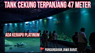 Piamari Aquarium Indonesia || Mega Tank Terbesar Dan Terpanjang Di Indonesia || Tempat Wisata baru