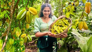 Starfruit Recipes ⭐️ Picking, Cooking & Preserving Starfruits | කාමරංගා රහස් වට්ටෝරු🤫